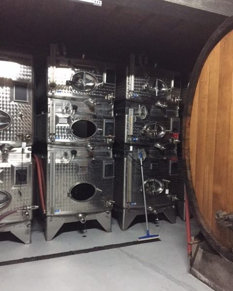 cantina 2 Humbrecht 1619