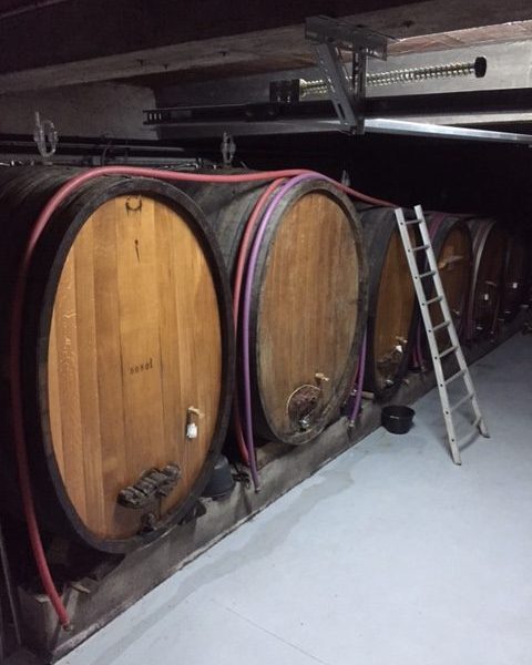 cantina Humbrecht 1619