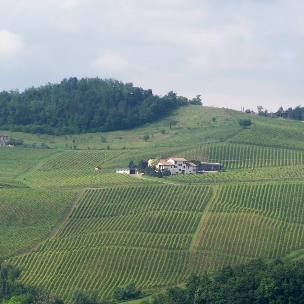 azienda